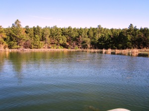 pond from boat1
